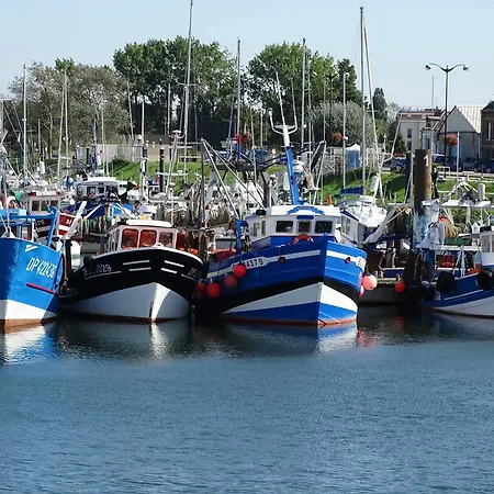 Voiles Et Terrasses By Corinne Face Au Port Le Treport